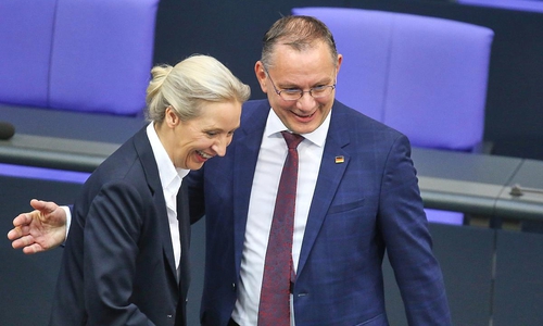 Alice Weidel und Tino Chrupalla (Archiv)