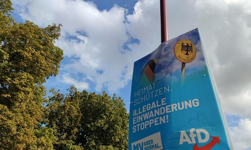 AfD-Plakat zur Landtagswahl Mecklenburg-Vorpommern 2021 (Archiv)
