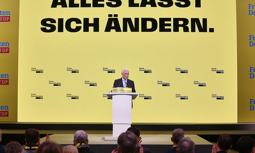 Wolfgang Kubicki (Archiv)