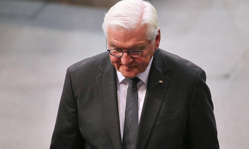 Frank-Walter Steinmeier (Archiv)