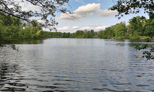 Badesee (Archiv)
