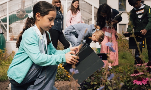 Was essen eigentlich Wildbienen? Im Blütengarten des Instituts für Fachdidaktik der Naturwissenschaften gehen die Schüler auf Spurensuche.