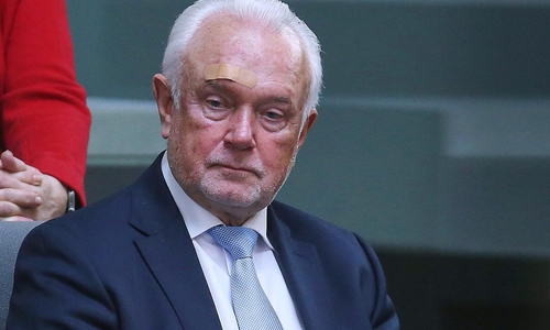 Wolfgang Kubicki (Archiv)
