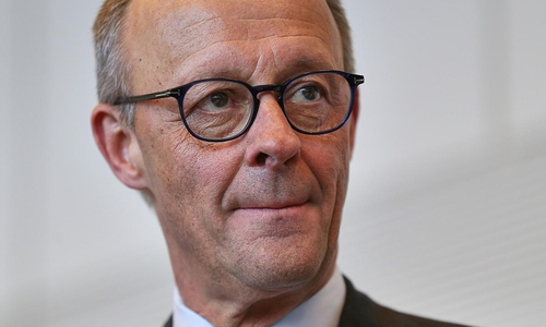 Friedrich Merz (Archiv)