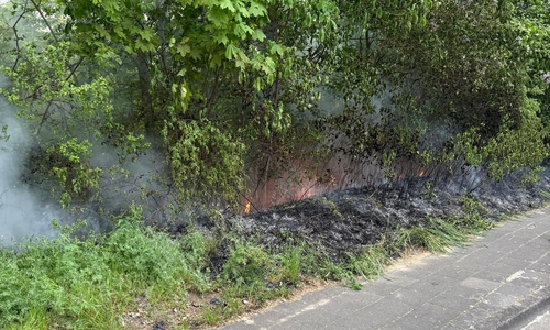 Eine brennende Hecke musste gelöscht werden.