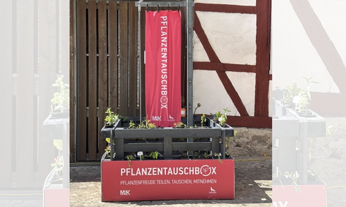 Die Pflanzentauschbox am Stadtmuseum.