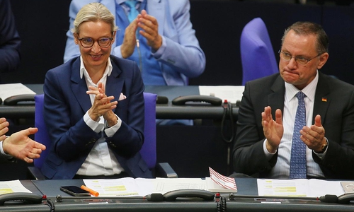 Alice Weidel und Tino Chrupalla (Archiv)