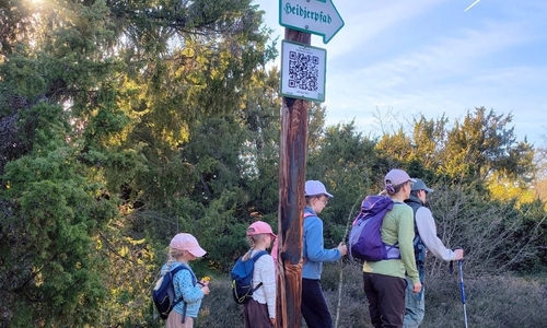 Am Tag des Wanderns geht es durch die Südheide.