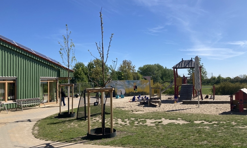 Auch an der Kindertagesstätte in Nordsteimke pflanzte die Stadt Bäume als natürliche Schattenspender.