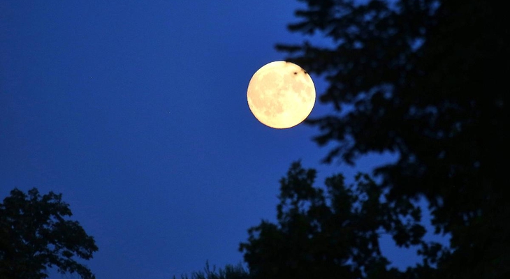 Heute ist Vollmond: Darum ist er gleich doppelt besonders