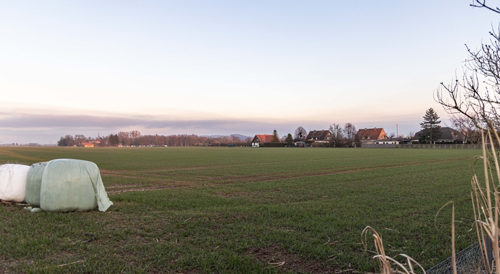 Hier soll ein neues Baugebiet in Salzgitter entstehen