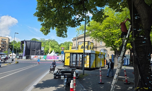 Auch in den Bäumen wird gearbeitet. Im Hintergrund die Stage of Lions