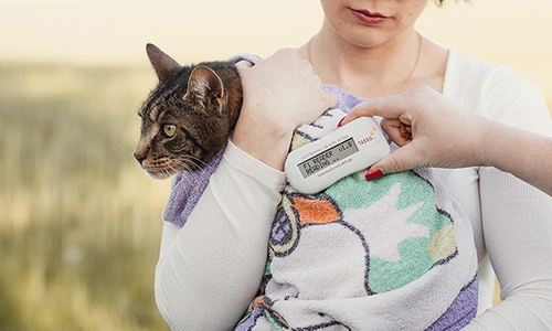  Die Nummer des Transponders muss auch registriert werden.