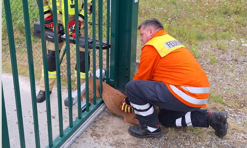 Die Feuerwehrleute retteten das Reh aus seiner misslichen Lage.