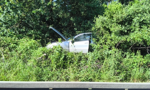 Das Auto war in einem Gebüsch gelandet.