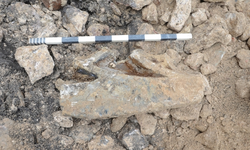 Das Fragment eines gotischen Fensterzugs wurde freigelegt.
