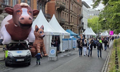 Tierisch wurde es hingegen beim Landestierschutzverband.