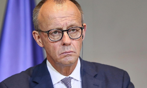 Friedrich Merz (Archiv)