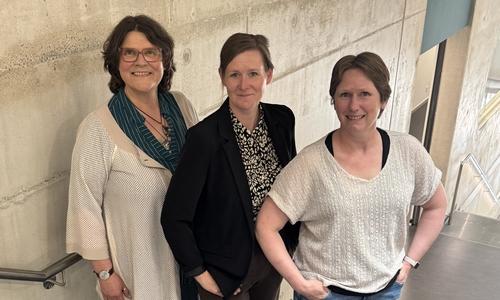 Leiten das Projekt zur Entwicklung transdisziplinärer Weiterbildungsangebote für Notfallversorgung und Katastrophenschutz (von links): Prof. Dr. Ilka Benner, Prof. Dr. Sandra Tschupke und Prof. Dr. Melanie Lietz.