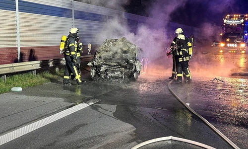 Die Feuerwehr bei den Löscharbeiten (Archiv)