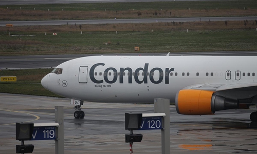 Condor (Archiv)