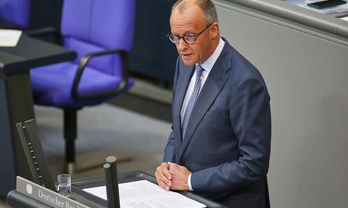 Friedrich Merz (Archiv)