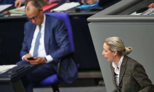 Friedrich Merz und Alice Weidel (Archiv)