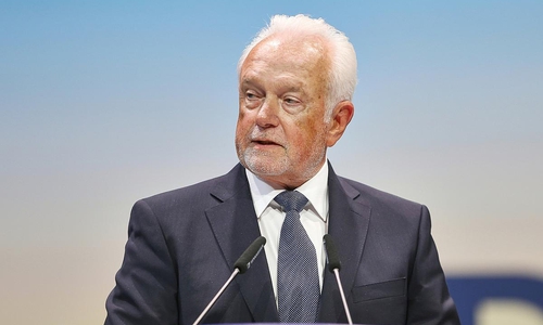 Wolfgang Kubicki (Archiv)