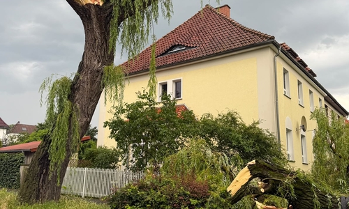 Dieser große Baum wurde Opfer des kurzen Unwetters.