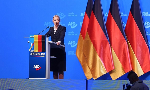 Alice Weidel am 04.07.2026