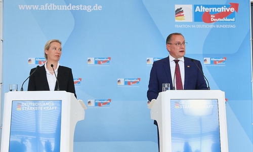 Alice Weidel und Tino Chrupalla (Archiv)