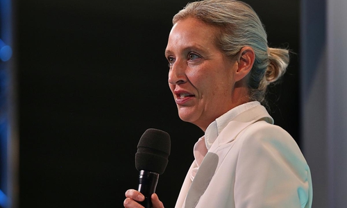 Alice Weidel (Archiv)