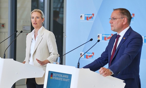 Alice Weidel und Tino Chrupalla (Archiv)