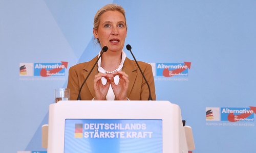 Alice Weidel (Archiv)