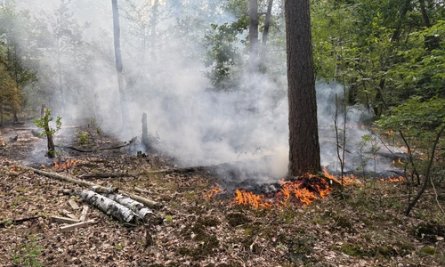 Am heutigen Dienstag kam es zu einem Waldbrand bei Wagenhoff.