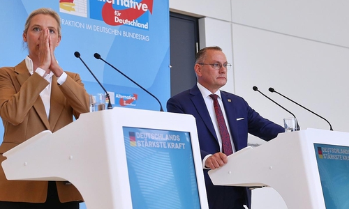 Alice Weidel und Tino Chrupalla (Archiv)