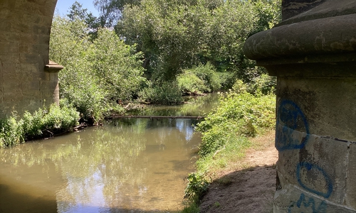 Viel zu trocken und wenig Wasser in den Gewässern, etwa in der Innerste bei Sehlde (Samtgemeinde Baddeckenstedt) im Juni des Jahres.