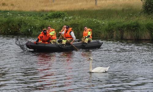 Die Feuerwehrleute schafften es nicht, den Schwan einzufangen.