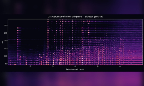 Beispiel einer Visualisierung einer VOC-Messung mit dem Massenspektrometer: Hier wird im Prinzip sichtbar, was Hunde riechen.