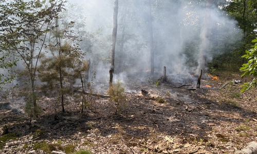 Das Feuer breitete sich auf einer Fläche von rund 400 Quadratmetern aus.