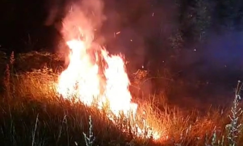 Mit einem Böschungsbrand fing das einsatzreiche Wochenende an.