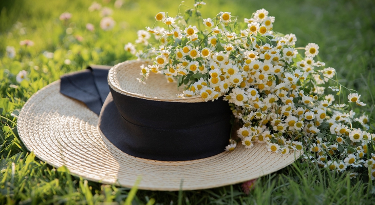Bis zu 50.000 Euro: So teuer kann ein bestimmtes Tier im Garten werden