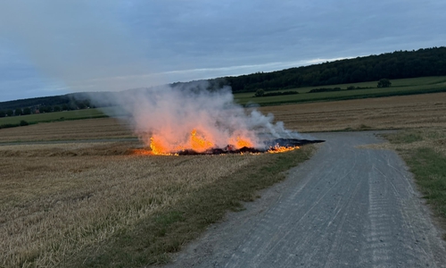 Die Feuerwehr war am Samstagabend bei einem Brandeinsatz in Grasleben im Einsatz.