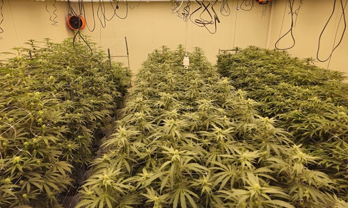 Der Anbau läuft.