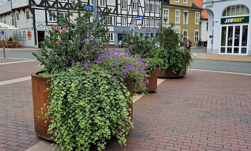 Die Pflanzkübel sind an den Harztorplatz gezogen.