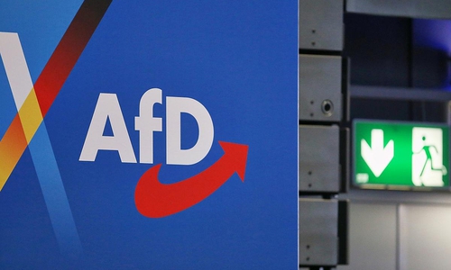 AfD-Logo (Archiv)