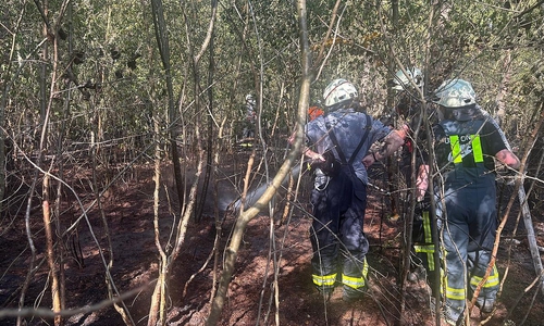 Die feuerwehr löscht Glutnester im Waldboden ab (Archiv)