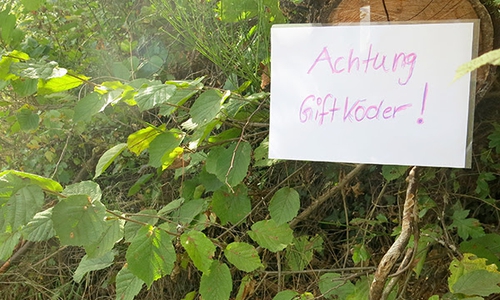 Giftköder sind oft gut versteckt.