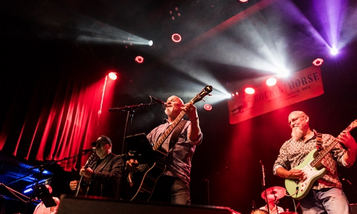 The Tangleheads in Aktion.