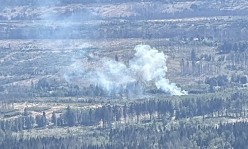 Der Waldbrand bei Braunlage beschäftigte die Feuerwehr.
